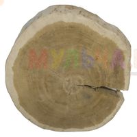 Крупные шлифованные спилы из натурального дуба