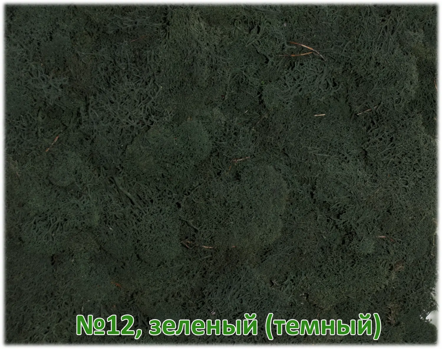 Мох стабилизированный №1 зеленая ель, 30*40 см, пак