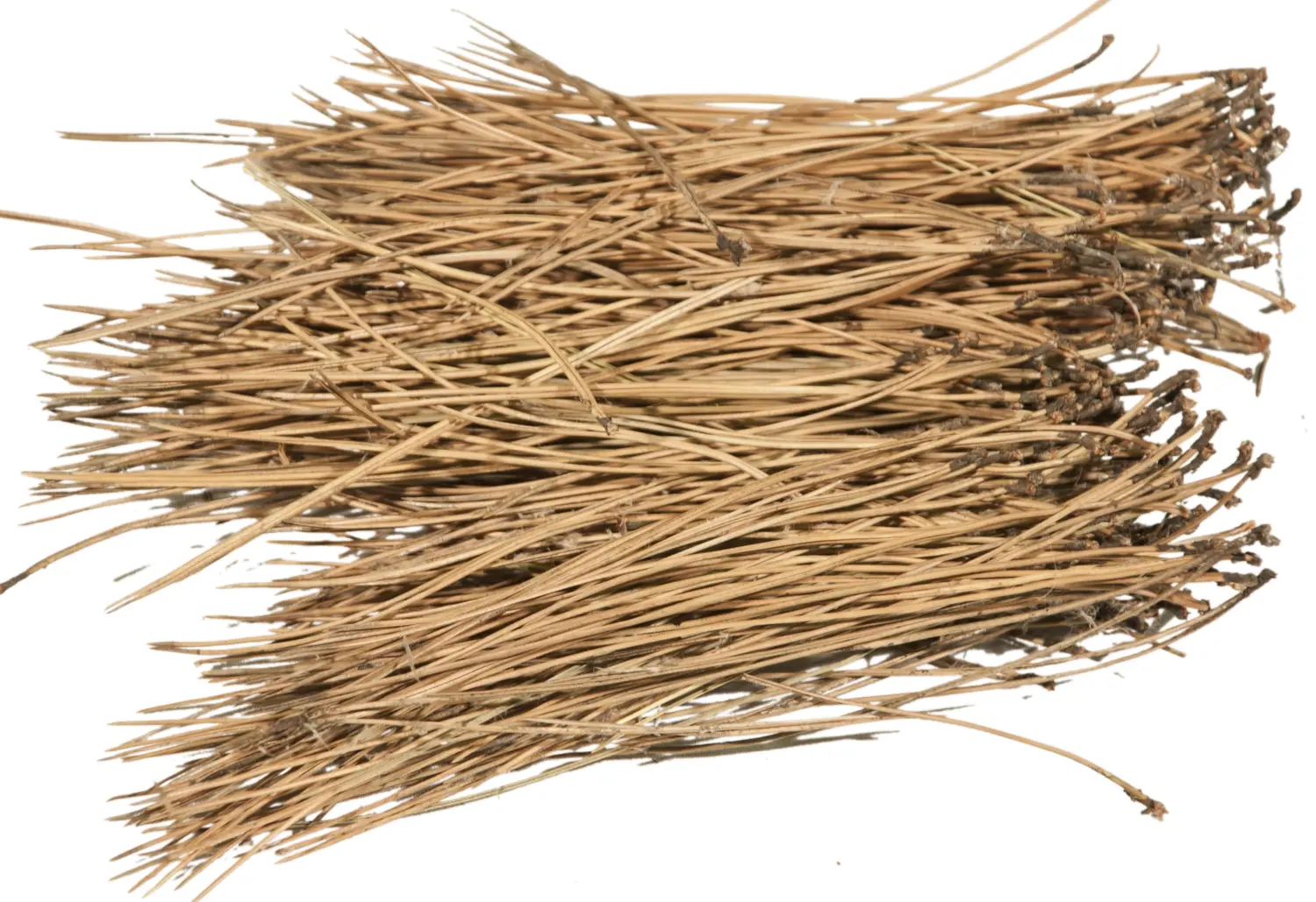 Иголки сосновые, 60 л