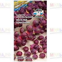 Красивые и полезные овощи в своем огороде - смена брюссельской капусты