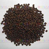 Вика посевная - сидерат обогащающий почву органическими веществами