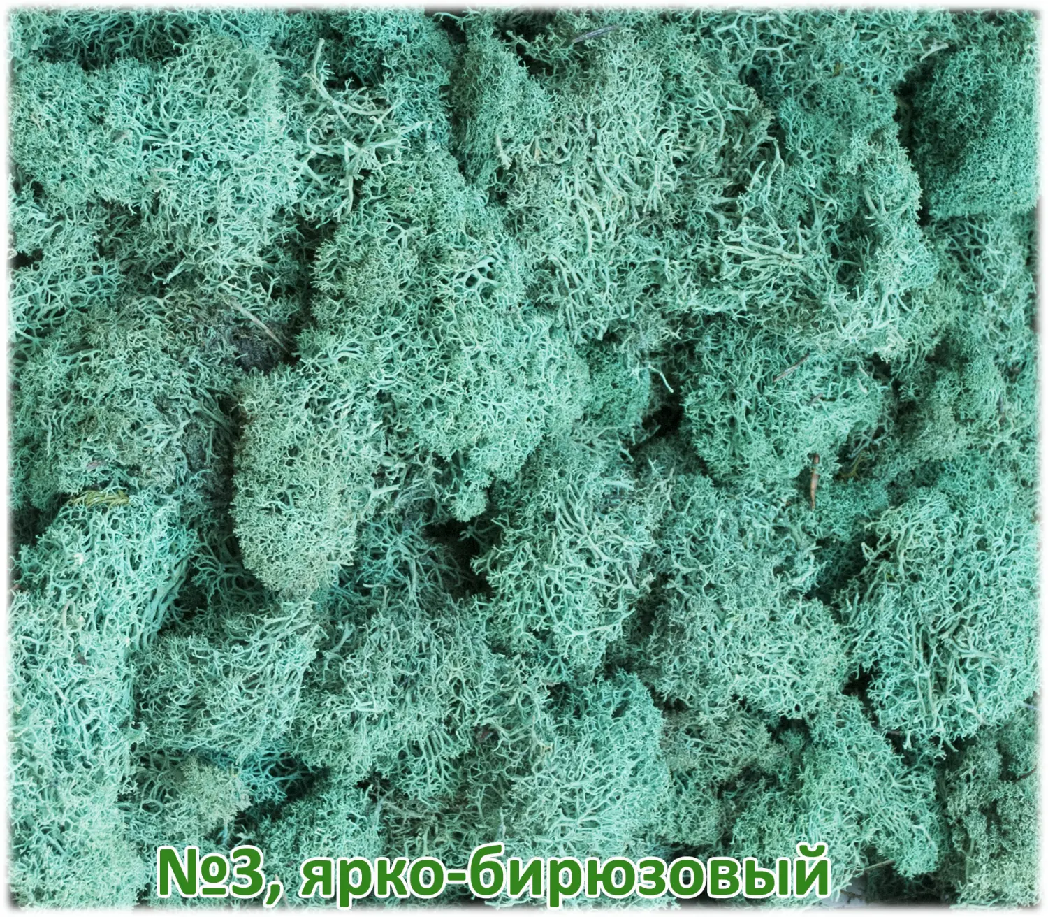 Мох стабилизированный №1 зеленая ель, 30*40 см, пак