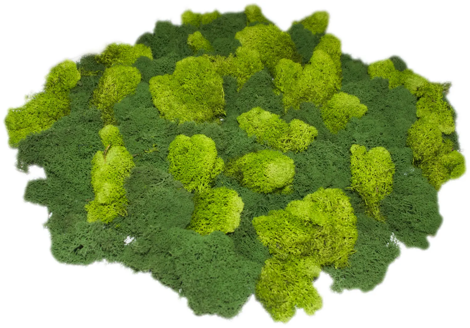 Мох стабилизированный №1 зеленая ель, 30*40 см, пак