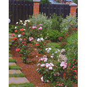 Пополнение запасов кедровой скорлупы