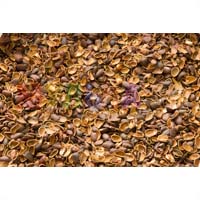 Скорлупа кедрового ореха – мульча для клумбы