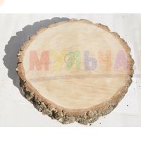 Крупные березовые спилы для садового декора