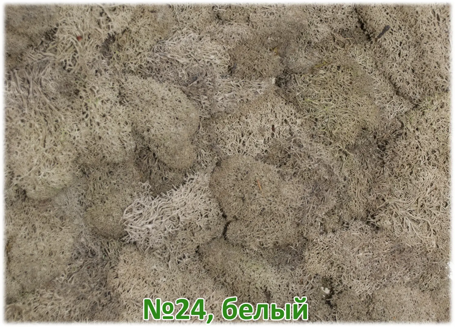 Мох стабилизированный №1 зеленая ель, 30*40 см, пак