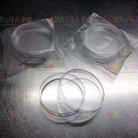 Удобная емкость с крышкой для проращивания семян