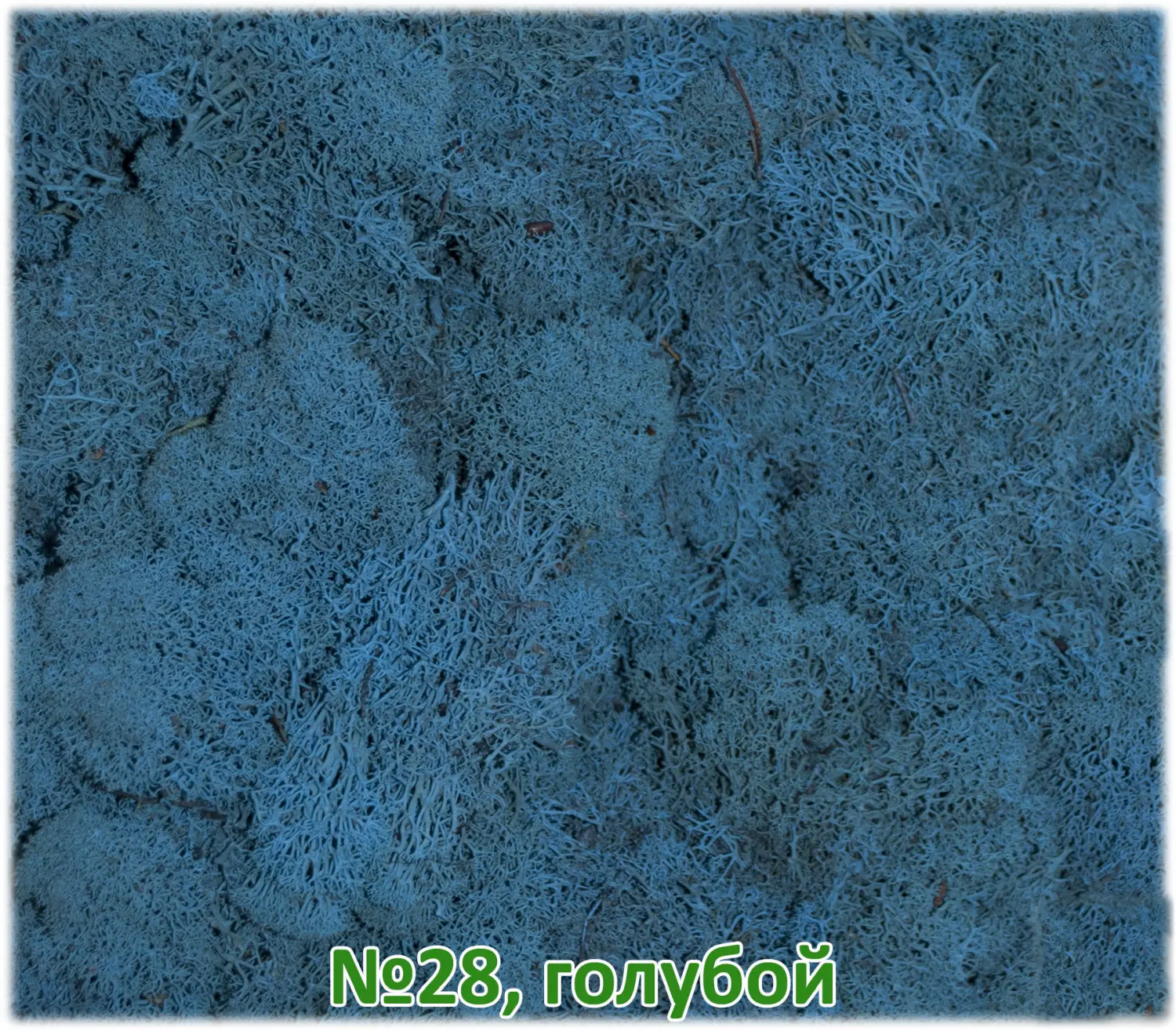 Мох стабилизированный №1 зеленая ель, 30*40 см, пак