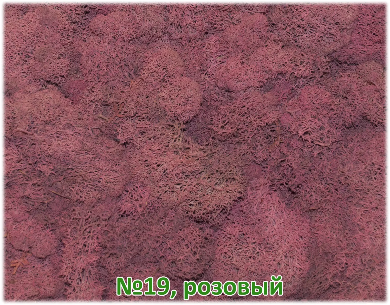 Мох стабилизированный №1 зеленая ель, 30*40 см, пак