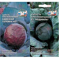 Семена краснокочанной капусты уже в продаже