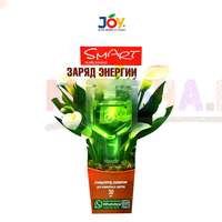 Заряд энергии для комнатных растений