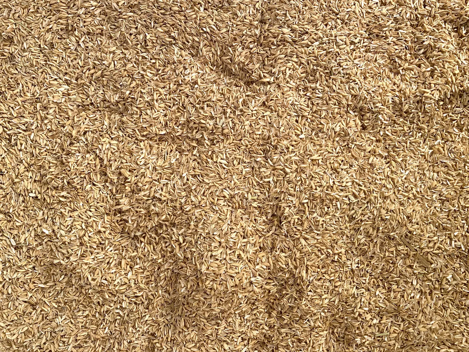 Шелуха рисовая, 60 л (9-10 кг)