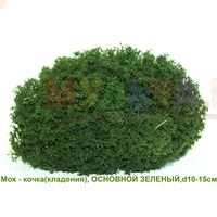 Стабилизированный мох — интересный материал для дизайна