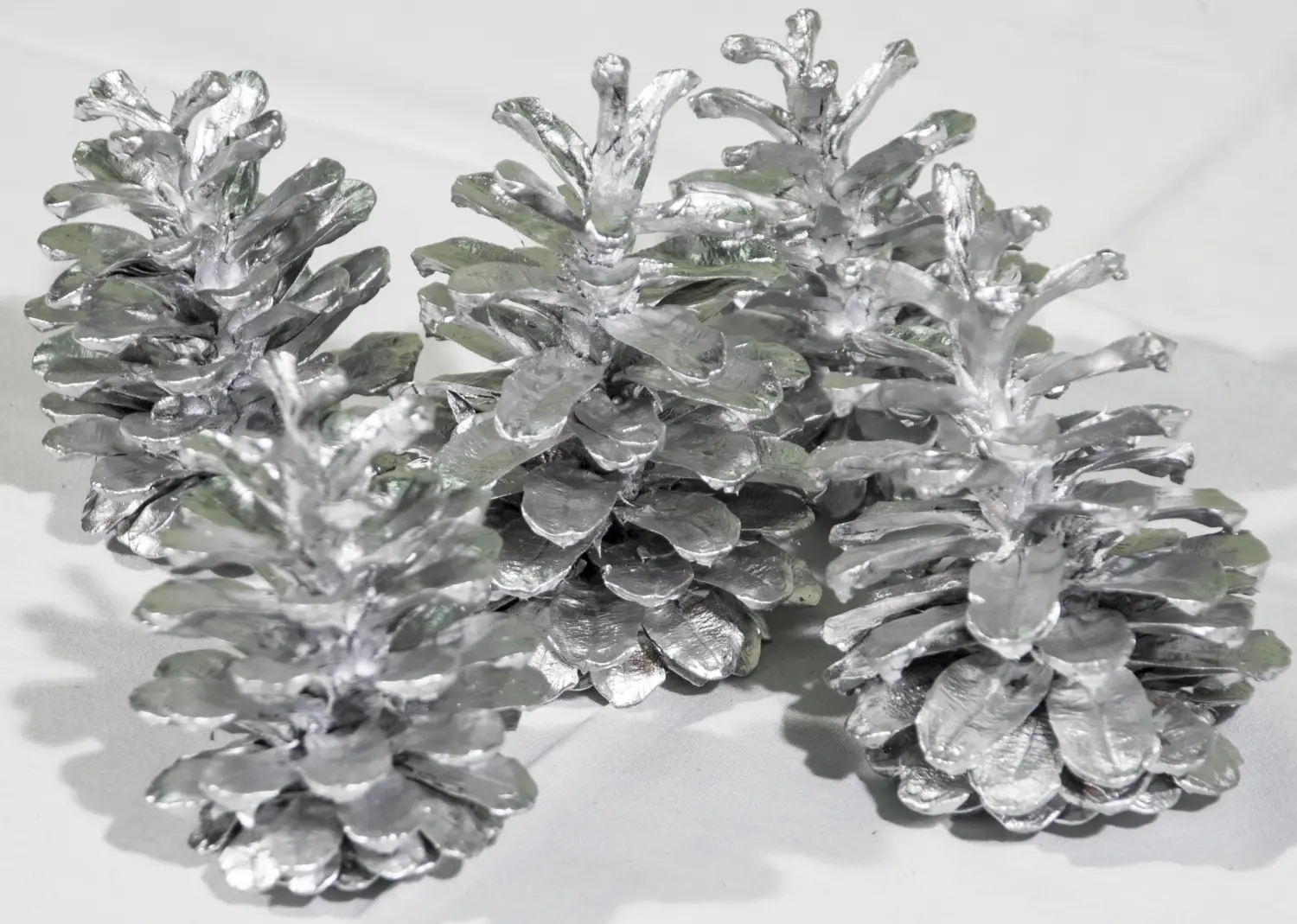 Шишка сосновая крупная поштучно, шт