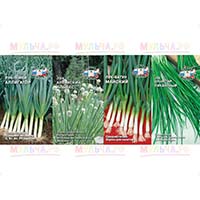 Порей, батун и другие виды лука в нашем магазине