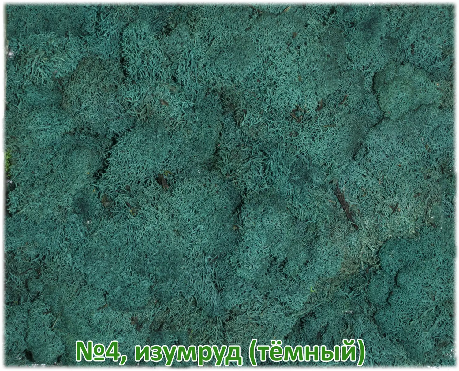 Мох стабилизированный №1 зеленая ель, 30*40 см, пак