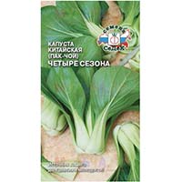 Семена капусты пак-чой сорта Четыре сезона