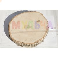 Аккуратно отпиленные и тщательно отшлифованные березовые спилы