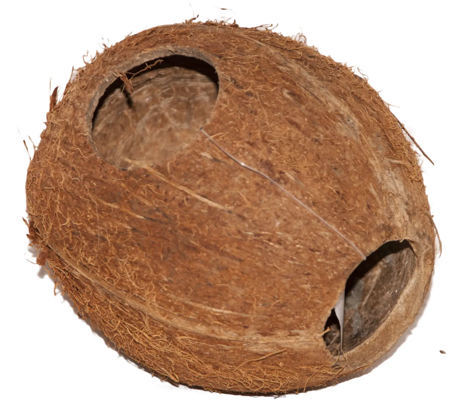 Кокос целый малый с отверстием, шт