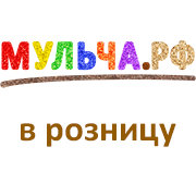 Начало работы магазина для розничных покупателей