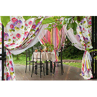 Фазенда на Первом, проект «Лесными тропами», эфир 6 октября 2013 года!