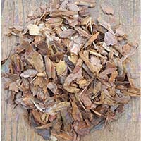 Как упростить уход за растениями? Просто замульчируйте их корой сосны