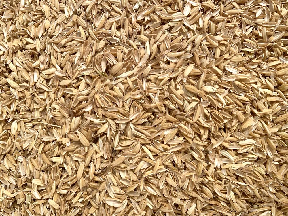 Для ландшафтных дизайнеров