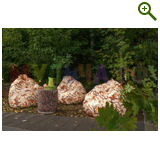 Фазенда на Первом, проект «ЛЕСНЫМИ ТРОПАМИ», эфир 6 октября 2013 года!