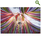 Фазенда на Первом, проект «ЛЕСНЫМИ ТРОПАМИ», эфир 6 октября 2013 года!