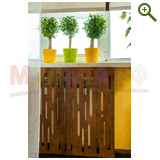 Фазенда на Первом, проект "Природа в доме", эфир 29 марта 2015 года!