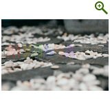 "Фазенда" проект "Геометрическая беседка"