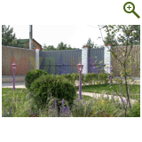 Лавандовый туман