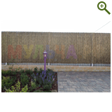 Лавандовый туман