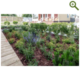 Лавандовый туман