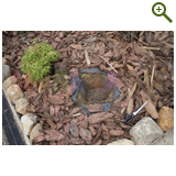 Благоустройство дачного участка