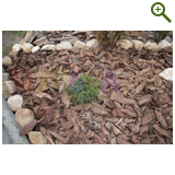 Благоустройство дачного участка