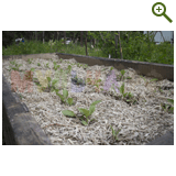 Благоустройство дачного участка