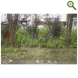 Благоустройство дачного участка