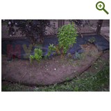 Благоустройство дачного участка