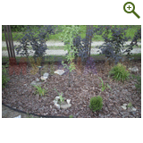 Благоустройство дачного участка