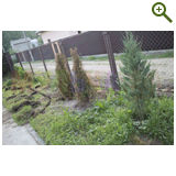 Благоустройство дачного участка