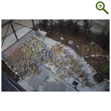 Благоустройство дачного участка