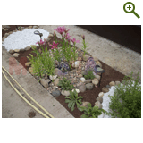 Благоустройство дачного участка