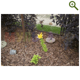 Благоустройство дачного участка