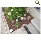 Благоустройство дачного участка