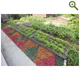 Благоустройство дачного участка