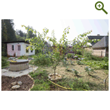 Благоустройство дачного участка