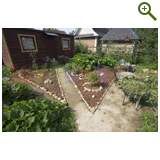 Благоустройство дачного участка