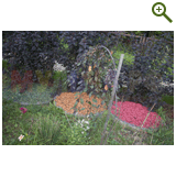 Благоустройство дачного участка